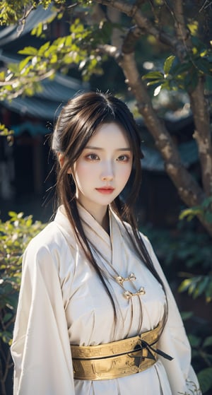 Best quality, masterpiece, ultra high res, 1 girl, beautiful face, detailed skin, looking at the viewer, black eyes, floating hair, slender, Chinese, black hair, pale skin,  straight_hair, beautiful, regal, chinese_clothes,  graceful, mid journey portrait,  hanfu, ancient_beautiful, Detailedface, zombie, cosplay costume , 