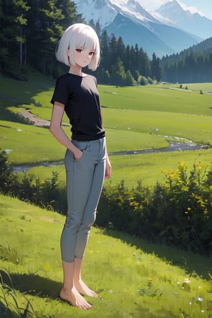 masterpiece, best quality, highres, 1girl, white hair, bob cut, flat chested, black shirt, short sleeve, skinny pants, gray pants, bare feet, standing, outdoor, grass, nature, mountains