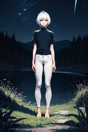 1girl, white hair, short hair, sweater, short sleeve, skinny pants, gray pants, bare feet, standing, outdoor, nature, grass, nighttime, night, night sky