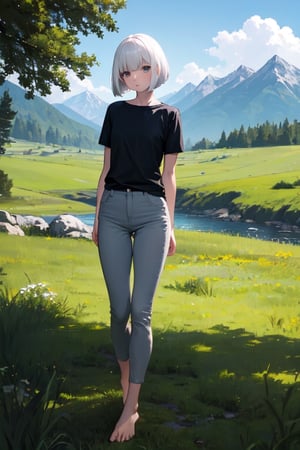 masterpiece, best quality, highres, 1girl, white hair, bob cut, beautiful detailed eyes, grey eyes, shirt, black shirt, short sleeve, skinny pants, gray pants, bare feet, standing, outdoor, grass, nature, mountains