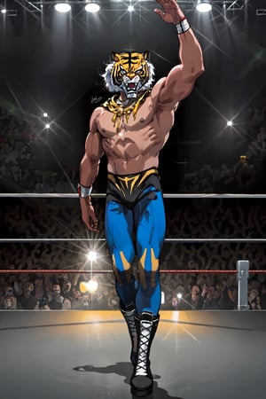 masterpiece, best quality, perfect lighting, best quality, (extremely detailed face), volumetric lighting, intricate details, shadow, tonemapping, sharp focus, hyper detailed, trending on Artstation, (solo) BREAK (male, man, adult man, square shaped body , muscled, big pecs, toned arms, adult,) BREAK (tiger mask, blue pants, white boots) BREAK (wrestling ring) BREAK (standing, confident smile, looking at viewer),90s, 1man