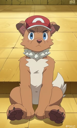 furry ,solo ,,foot,XY_2,rockruff,ash,hat