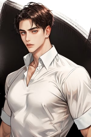 masterpiece, best quality, boy, solo, male, shirt, robust,1boy