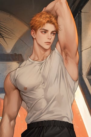 masterpiece, best quality, boy, solo, male, shirt, armpits, robust,1boy