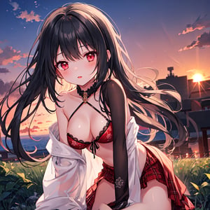 1 girl with black hair and red eyes.
Sunset background,style,masterpiece.