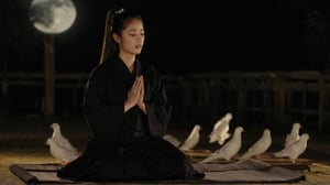 Hida-Sannogu Shrine, big_full_moon, Soft moon light casts a warm glow on her tranquil face, white doves flutter peacefully amidst the night sky, pretty korean mix french girl, black robes, sits cross-legged on a tatami mat, eyes closed in meditation, 25 years old. Average body, bright honey eyes with sharp size, full lips, long eyelashes. Black, ponytail, soul and spiritual mentor, extra photorealisctic, extra detailed, HD.,photorealistic