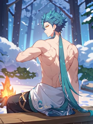 Masterpiece, best quality, amazing quality, best aesthetic, amazing quality, 1boy, solo, male focus, jiyan_wuwa, green hair, long hair, yellow eyes, red eyeliner, woods, sitting on wood, snowy night weather, shirtless, topless male, back view, campfire