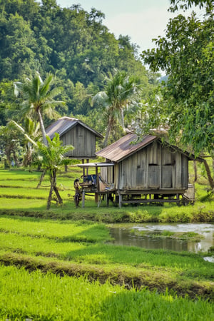 A peaceful, hyperrealistic Malay village nestled in a lush green landscape. close up view traditional wooden houses, with textured zink roofs. Towering coconut tree surround the area, casting soft shadows over the vibrant grass. A small, calm river flows gently near the houses, reflecting the trees and adding a serene touch to the scene. The tropical sunlight illuminates the village, enhancing the natural beauty of the tranquil rural environment. The close-up perspective emphasizes the details of the houses, trees, and the grassy surroundings, creating a warm and inviting atmosphere, vivid and vibrant, intricated detailed, sharp focus