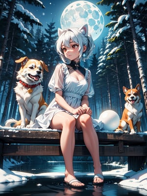 Cute girl sitting on the edge of a lake, reflection of her, simple white dress, clear snowy forest, white shine, moonlight luminous orbs, chihuhua dog sitting looking at her, clean stroke, 3D, full HD