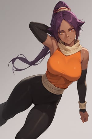 score_9,score_8_up,score_7_up,score_6_up,score_5_up,score_4_up, 

ShihouinYoruichi, dark-skinned female

Default Outfit (orange one):

YoruichiDefault, dark-skinned female, dark-skinned female, long hair, high ponytail, hair tie, scarf, orange shirt, arm warmers, sash, black bodysuit