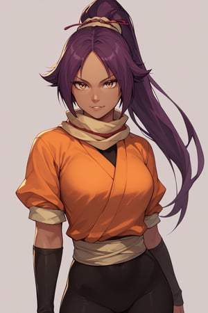 score_9,score_8_up,score_7_up,score_6_up,score_5_up,score_4_up, 

ShihouinYoruichi, dark-skinned female

Default Outfit (orange one):

YoruichiDefault, dark-skinned female, dark-skinned female, long hair, high ponytail, hair tie, scarf, orange shirt, arm warmers, sash, black bodysuit