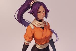 score_9,score_8_up,score_7_up,score_6_up,score_5_up,score_4_up, 

ShihouinYoruichi, dark-skinned female

Default Outfit (orange one):

YoruichiDefault, dark-skinned female, dark-skinned female, long hair, high ponytail, hair tie, scarf, orange shirt, arm warmers, sash, black bodysuit