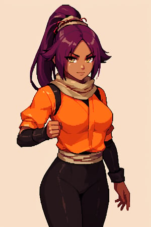 score_9,score_8_up,score_7_up,score_6_up,score_5_up,score_4_up, 

ShihouinYoruichi, dark-skinned female

Default Outfit (orange one):

YoruichiDefault, dark-skinned female, dark-skinned female, long hair, high ponytail, hair tie, scarf, orange shirt, arm warmers, sash, black bodysuit