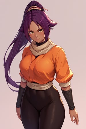 score_9,score_8_up,score_7_up,score_6_up,score_5_up,score_4_up, 

ShihouinYoruichi, dark-skinned female

Default Outfit (orange one):

YoruichiDefault, dark-skinned female, dark-skinned female, long hair, high ponytail, hair tie, scarf, orange shirt, arm warmers, sash, black bodysuit