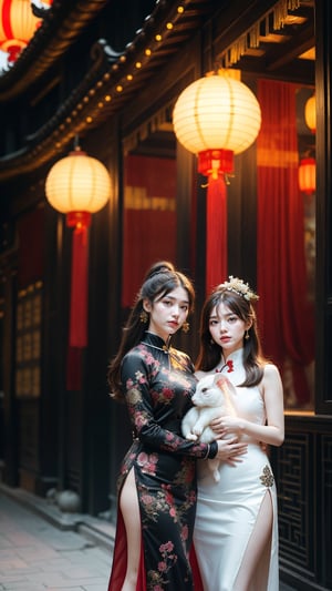 Two beautiful girls, holding a rabbit, white_skin, black-hair, very long hair, Good figure, 
Wear the light color traditional dress of the Han Chinese people, 
Background is Lantern Festival, many lantern,red light.,fantasy