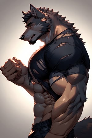 male, anthropomorphic, male, wolf, (muscular_body), ripped clothes, handsome, human, (transforming), (realistic), side_view, (large_pecs)