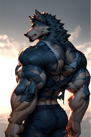 male, anthropomorphic, male, wolf, (muscular_body), ripped clothes, handsome, human, (transforming), (realistic), looking_at_viewer, (large_muscles), back_shot, (muscular_back)