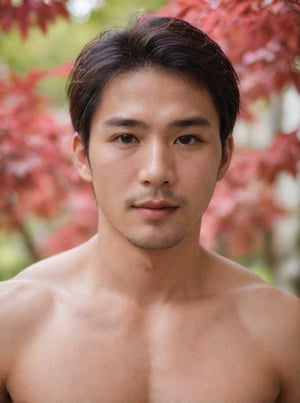 Handsome young man with Korean features, 29 years old, posing in a Japanese  red maple tree, showcasing his physique on 2 pieces unbuttoned shirt, His cheeky, alluring sunlight passes through the gaps in the trees. highlighting his healthy lips,  The Wisteria in front of the model is blurred and has a beautiful softness foreground, sharp men, emphasizing upper body details and strict facial features, Candid Shots captured , focus men,dewy and glistening oiled skin, dramatic face, pointy_teeth, smail,upper_body photography ,Extremely Realistic,sharp:1.4, grisp:1.5,shadow:0.8