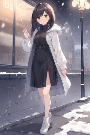 (masterpiece, best quality, highres:1.3), (red eyes, black hair, long hair, straight  hair, bangs, woman, small breasts, hair between eyes), adult, beautiful, shy, lovely, looking at viewer, skirt, hair ornament, long sleeves, dress, closed mouth, standing, jacket, portrait, close up, outdoors, shoes, solo focus, black dress, coat, fur trim, grey footwear, snow, walking, snowing, city, winter clothes, white jacket, winter, street, crosswalk, white and gray coat