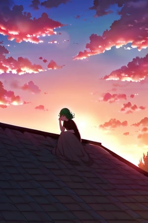tatsumaki looking at the sky sitting on the roof of a house, sunset_behind, tired_face, snorting, beautiful_sunset, pink_tones_in_the_sky, beautiful_clouds, sweating, looking_at_the_sky