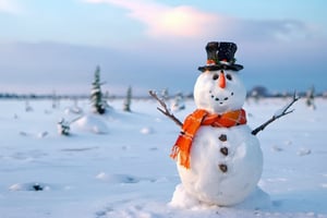 Create a realistic image of a snowman, with hat and scarf, arms made of branches, with eyes, carrot nose and smile, full length, looking straight ahead, snowy background