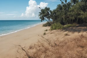 outdoor, sky, day, clouds, water, trees, blue sky, no humans, ocean, beach, thatch, landscape, sand, coast,
macro photography, original photos, realistic, photography,fine art,