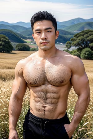 A dashing young man with striking Japanese-Korean features, posing in a sun-kissed Savannah. His strong physique and defined abs are showcased against the vast expanse of golden grass. The blue sky horizon stretches endlessly behind him. His cheeky expression is illuminated by the warm sunlight, highlighting his plump lips and sparkling eyes that shine like sapphires. Shot from an eye-level perspective, the wide-angle framing emphasizes the upper body's definition and accentuates the strict features of his face, rendering each detail with lifelike precision.