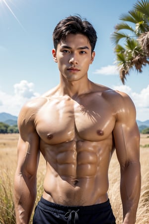 A stunning young man with distinct Japanese-Korean features stands proudly in a vast Savannah, his chiseled physique and six-pack abs accentuated against the endless blue sky. His cheeky expression shines under warm sunlight, emphasizing his striking facial features and sparkling sapphire-like eyes. Framed by the lush golden grass, he poses confidently, his toned upper body details highlighted from an eye-level perspective.