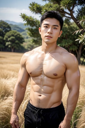 A dashing Taiwanese man with striking Japanese-Korean features, posing in a sun-kissed Savannah. His strong physique and defined abs are showcased against the vast expanse of golden grass. The blue sky horizon stretches endlessly behind him. His cheeky expression is illuminated by the warm sunlight, highlighting his plump lips and sparkling eyes that shine like sapphires. Shot from an eye-level perspective, the wide-angle framing emphasizes the upper body's definition and accentuates the strict features of his face, rendering each detail with lifelike precision.