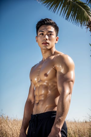 A dashing young man with striking Japanese-Korean features, posing in a sun-kissed Savannah. His strong physique and defined abs are showcased against the vast expanse of golden grass. The blue sky horizon stretches endlessly behind him. His cheeky expression is illuminated by the warm sunlight, highlighting his plump lips and sparkling eyes that shine like sapphires. Shot from an eye-level perspective, the wide-angle framing emphasizes the upper body's definition and accentuates the strict features of his face, rendering each detail with lifelike precision.