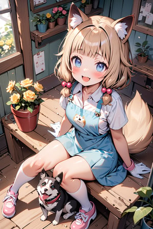 (masterpiece), sakura nene, 1girl, looking at viewer, blush, smile, short hair, open mouth, ((bangs)), blue eyes, blonde hair, brown hair, shirt, hair ornament, low twintails, , collarbone, :d, blunt bangs, hair bobbles ,

 , animal, white flower, shirt, animal ears, flower, collared shirt, , socks, , white socks, gloves, , apron,  sitting, , blush, ,tail, yellow flower, pink footwear, white shirt, animal ear fluff, , bird, kneehighs,, full body, skirt, rose, potted plant, , watering can, , shoes, blue skirt,

V-shraped eyebrows,
frog-sit, open legs,
knees away, dog between legs,
play with dog, dog looking a girl,
looking at dog, shot from front and above,

score_9,sakura nene,score_8_up,Details,mona,Detailed Masterpiece,nekomimimeganekao