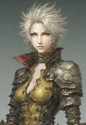 Game Design: Yoshitaka Amano, Final Fantasy Character Edition
