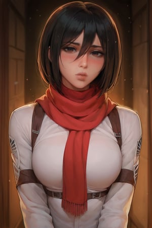 score_9, score_8_up, score_7_up, 1girl, solo, more detail XL, 4RCH0N, light_particles, blurred background, Mikasa Ackerman, red scarf, fit, portrait, blushing, puffy lips, looking_at_viewer
