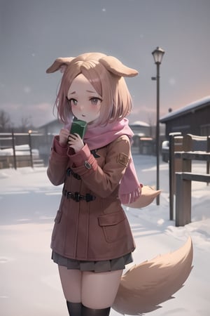 Rosebud snow buddies, golden brown hair, black eyes, bob hair, forehead, dog ears, dog tail, dog nose, dog girl, pink coat, pink scarf, golden brown dress, pink hair bow, golden brown stockings, snow outdoors, very cold outdoors, sky, snowy, cloudy sky, anime waifu style