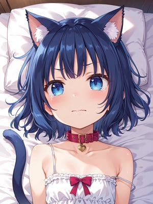 masterpiece, best quality, 8k, ultra-detailed, score_9, score_8_up, score_7_up, , kannakamui, 
shiny dark blue hair, shiny dark blue cat ears , short bob hair, dark blue medium hair, shiny dark blue hairs ,blue eyes, (((flat chest))), No public hair, extremely pretty face, beautiful face, ultra-detaild face, cute and round face, ultra-detailed eyes, round eyes, rubby eyes, droopy eyes , beautiful and delicate and ultra-detailed finger, (((very young Petite girl))), skinny,  cat collar, cat tail, heart,

only white Summer-like camisole dress , colored lace line ribbon, lots of lace, white dress skret,

in the girl's room, on bed, pastel colored sheets, fancy items, pillow,
shot from above, portrait, face, look away, 

((watery eyes)), bow, V-shaped eyebrows, tears, cry, fullblush,
close mouth, wavy mouth,


