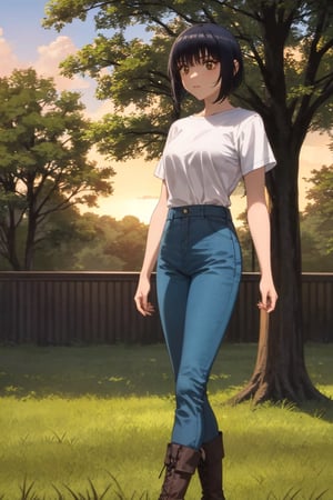 (masterpiece), best quality, 1girl, solo, black hair, short hair, brown eyes, shirt, short sleeve, blue pants, boots, standing, outdoor, grass, trees, sunset