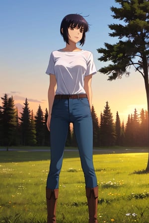 (masterpiece), best quality, 1girl, solo, black hair, short hair, brown eyes, shirt, short sleeve, blue pants, boots, standing, outdoor, grass, trees, sunset