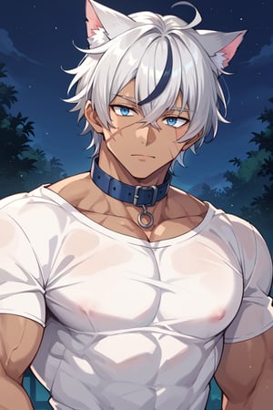 score_9, score_8_up, score_7_up,source_anime, mature male,,male focus, silver hair, black streaked hair, blue eye,silver cat ears, dark skin, hair between eyes,
muscle, looking at viewer,  night, collar, scar on cheek,white clothes,