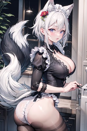 Hentai pajamas , white hair , maid , neko mimi , fox tail