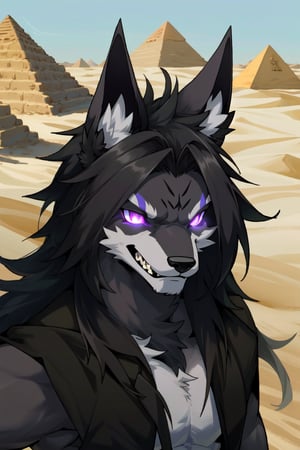 male, furry, anthro, muscular, jackal, glowing violet eyes, black fur, desert, pyramids, fluffy fur, long hair, sinister smile, closer camera, EasyMasterpiece