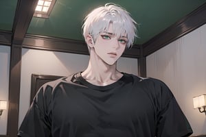 Ydor, 1boy, ((solo focus)), ((white short hair)), (Left side-parting bangs), green eyes, handsome, mature, angular jaw, thick neck, ((black)) ((shirt:1.3)), short sleeve, by Raphael, masterpiece, upper body shot, magnificent indoor hall