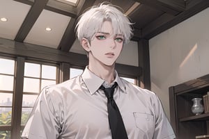 Ydor, 1boy, ((solo focus)), ((white short hair)), (Left side-parting bangs), green eyes, handsome, mature, angular jaw, thick neck, ((white)) ((shirt:1.3)), short sleeve, tie, by Raphael, masterpiece, upper body shot, magnificent indoor hall