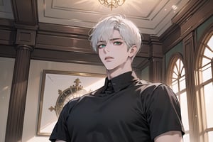 Ydor, 1boy, ((solo focus)), ((white short hair)), (Left side-parting bangs), green eyes, handsome, mature, angular jaw, thick neck, ((black)) ((shirt:1.3)), short sleeve, by Raphael, masterpiece, upper body shot, magnificent indoor hall