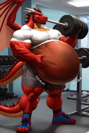 Male Muscular dark red brown dragon, at a gym, (post vore belly), (lifting weights), (digestion vore), (dark brown belly), (dragon) (wearing grey shorts and a white shirt) (smooth gut), (bigger muscles)