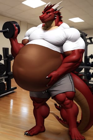 Male Muscular dark red brown dragon, at a gym, (post vore belly), (lifting weights), (digested prey), (dark brown belly), (dragon) ((wearing grey shorts and a white shirt)), (bigger muscles), ((patting belly))