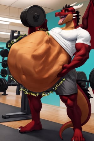 Male Muscular dark brown dragon, at a gym, (vore belly), (lifting weights), (digestion vore), (dark belly), (unwilling prey), (dragon) (wearing grey shorts and a white shirt) (belching)