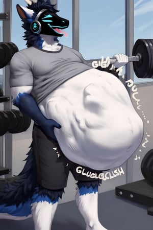 Prompt: Male Muscular Dark blue dragon protogen, (( wearing a gray t-shirt and black shorts)), at a gym, (vore belly), (lifting weights) ,(digestion vore) (fluffy white belly) (belching) (sloshing gut)