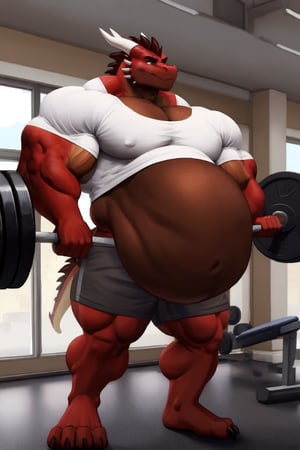 Male Muscular dark red brown dragon, at a gym, (post vore belly), (lifting weights), (digestion vore), (dark brown belly), (dragon) (wearing grey shorts and a white shirt) (sigh), (bigger muscles)