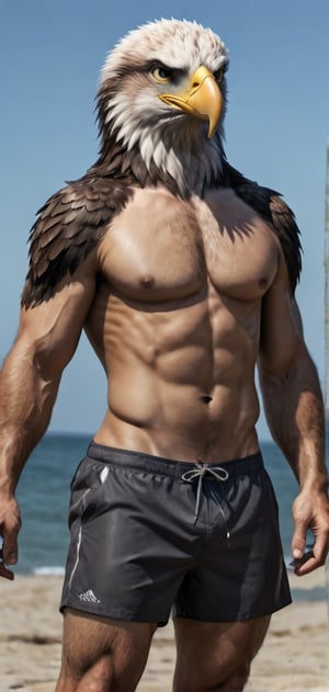 Create a tall slim man with an eagle head posing, flexkng his arms, wearing swim shorts, flip-flops, beach, outdoors, abs, high detailed,photo r3al,Movie still, HDR, body hair