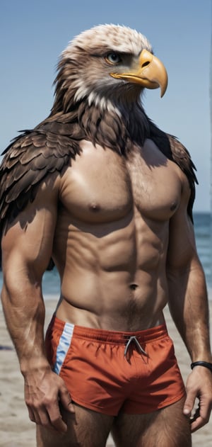 Create a tall slim man with an eagle head posing, flexkng his arms, wearing swim shorts, flip-flops, beach, outdoors, abs, high detailed,photo r3al,Movie still, HDR, body hair